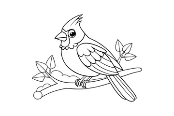 Cardinal Bird Coloring book for kids 