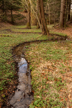 Kleiner Bachlauf im Wald