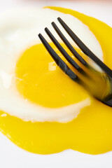 Fried Egg with Broken Yolk