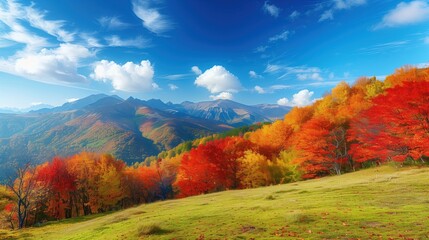 Fototapeta premium Autumn mountains with vibrant fall foliage under a clear blue sky 