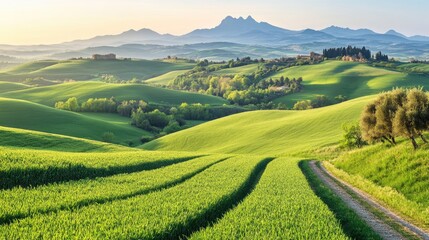 Tuscan Rolling Hills: A Serene Landscape