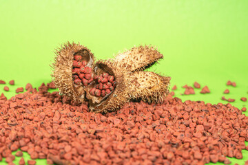 Annatto tree bixa orellana seeds