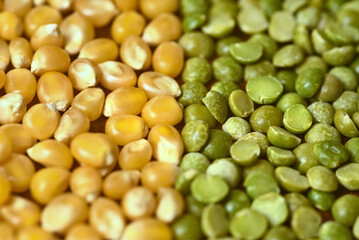 Background with different types of cereals, corn seeds and green peas. Top view. Agriculture concept. Green and yellow color