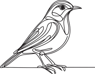 Thrush Bird Line Art – Clean and Simple Vector Illustration