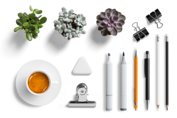 Collection of various pen, pencils, mechanical pencil, eraser, paper clips, plants and coffee cup isolated on a transparent background, PNG. High resolution. 