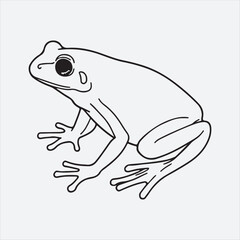 Tree Frog Line Art Illustration,Black and White Frog Vector Drawing,Hand Drawn Frog Outline Sketch,Detailed Frog Line Drawing,Realistic Frog Vector Outline