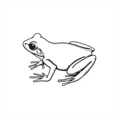 Tree Frog Line Art Illustration,Black and White Frog Vector Drawing,Hand Drawn Frog Outline Sketch,Detailed Frog Line Drawing,Realistic Frog Vector Outline
