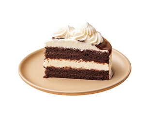 Chocolate cake slice with whipped cream