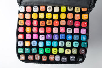 Set of colorful alcohol based markers in carrying case for drawing and illustration