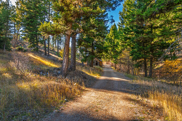 Obraz premium A mountain path in the hills above the Garnet Ghost Town in Garnet Montana at autumn.