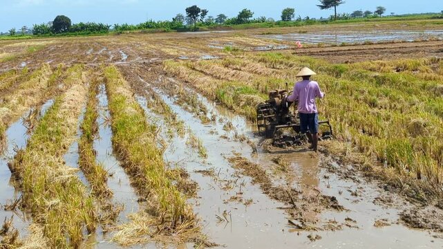 Farmers hijack agricultural land after harvest, farmers plow the fields with traditional tractors, farmers stand behind traditional tractors to hijack swah