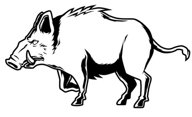 Schwarz-weiße Darstellung eines Wildschweins mit markanten Hauern. Ideal für Jagdmotive, Naturdesigns, Ausmalbilder, Wappentiere oder Wildtierdarstellungen.