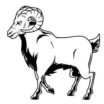 Schwarz-wei&szlig;e Vektorgrafik eines kr&auml;ftigen Widders mit gebogenen H&ouml;rnern. Ideal f&uuml;r Tierillustrationen, Sternzeichen Widder, Ausmalbilder und Naturdesigns.