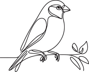 Finch Bird Line Art Vector