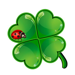 ladybug and clover without background