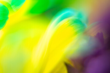 abstract colorful background with yellow leaves