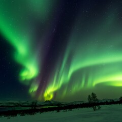 Araffes Of Green And Purple Lights In The Sky Above A Snowy Field