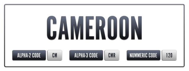 Cameroon. Illustration with ISO 3166-1 Country Code.  ISO Alpha-2, Alpha-3 and Numeric code. Two three letters and numbers.