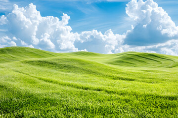 Fototapeta premium Tuscan Hillscape Under Blue Sky