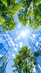 Urban green spaces, sustainable city, looking up at skyscrapers