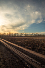 Naklejka premium Road on the field and around the forest , beautiful landscape on the field .Sunny day with clouds and sun.Road to the mystery place 
