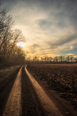 Road on the field and around the forest , beautiful landscape on the field .Sunny day with clouds and sun.Road to the mystery place 