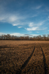 Road on the field and around the forest , beautiful landscape on the field .Sunny day with clouds and sun.Road to the mystery place 