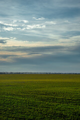 Beautiful field and nature at the spring evening.Sunset over the trees and green field.Landscape photography,sunny day , sunset and field with road  