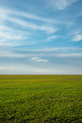 Beautiful field and nature at the spring evening.Sunset over the trees and green field.Landscape photography,sunny day , sunset and field with road  