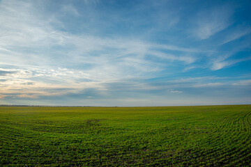 Beautiful field and nature at the spring evening.Sunset over the trees and green field.Landscape photography,sunny day , sunset and field with road  