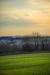 Beautiful field and nature at the spring evening.Sunset over the trees and green field.Landscape photography,sunny day , sunset and field with road  
