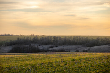 Beautiful field and nature at the spring evening.Sunset over the trees and green field.Landscape photography,sunny day , sunset and field with road  
