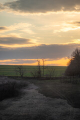 Beautiful field and nature at the spring evening.Sunset over the trees and green field.Landscape photography,sunny day , sunset and field with road  