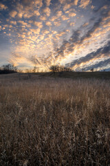 Landscape photo with beautiful sunset and clouds on the sky , field and trees , spring evening in the woodlands ,sun lights , beautiful nature 