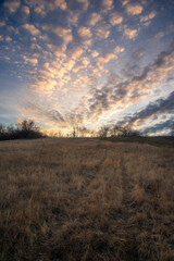 Landscape photo with beautiful sunset and clouds on the sky , field and trees , spring evening in the woodlands ,sun lights , beautiful nature 