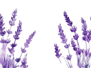 Naklejka premium Purple Lavender Watercolor Painting on Transparent Background, PNG