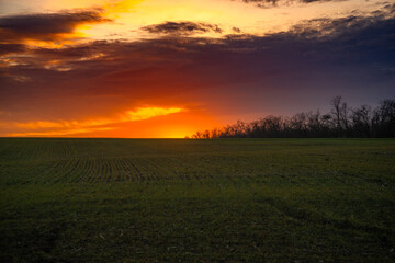 Sunset over the field , landscape photography in the forest, beautiful nature , clouds in the sky with sun and trees , green grass on the ground 