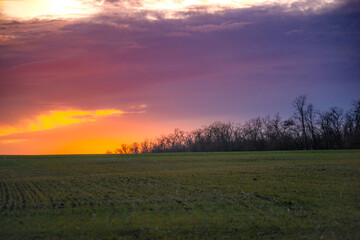 Sunset over the field , landscape photography in the forest, beautiful nature , clouds in the sky with sun and trees , green grass on the ground 