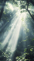 Enchanted Forest Awakening: Sunlight and Shadows' Dance Through Misty Canopy in Lush Woodland Refuge