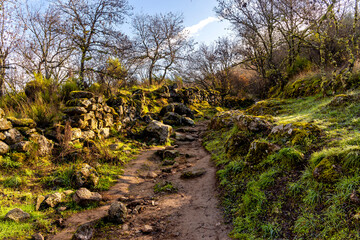 Camino con valla de piedras en la ruta de los castaños