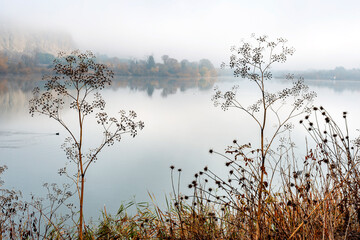 Invierno con niebla en la Laguna del Campillo © ABUELO RAMIRO