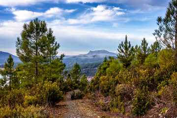 Niebla en la Sierra de La Cabrera