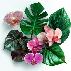 Fototapeta premium Tropikalne kwiaty i liście na białym tle