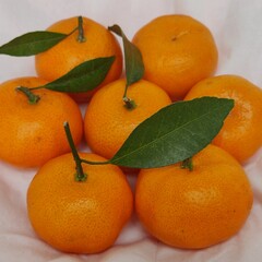 Fresh mandarin orange fruit