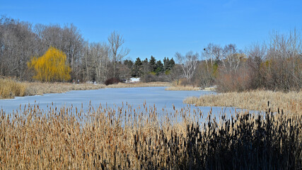 Winter scenery of the public park with a lake in winter.