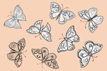 Set of Hand-Drawn Butterfly Silhouettes Vector Illustration