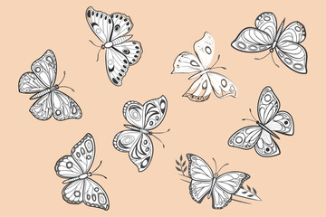 Set of Hand-Drawn Butterfly Silhouettes Vector Illustration
