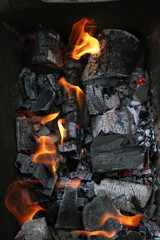 Fototapeta premium burning coal in a grill. Fire in a grill