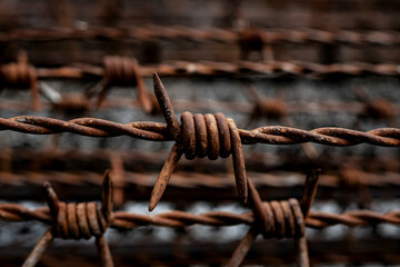 Rusted barbed wire with sharp spikes against a blurred background