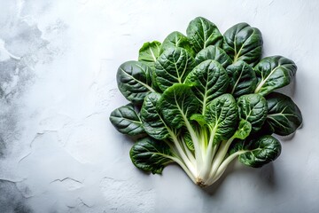 Tatsoi on White Background